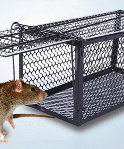 Diệt chuột bằng phương pháp vật lý