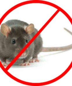 Kiểm soát chuột